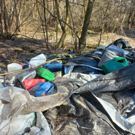 Kto śmieci w lesie, niech wyższą karę poniesie
