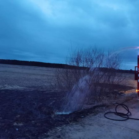 Kolejne pożary na nieużytkach w regionie [ZDJĘCIA]