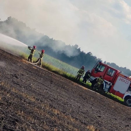 Strażacy z Troszyna w akcji. Gasili pożar, usuwali owady
