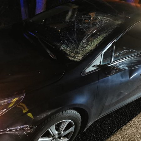 Zderzenie toyoty z sarną na „krajówce” [FOTO]