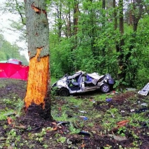 Makabryczny wypadek pod Wyszkowem. Zginęło czterech mężczyzn [ZDJĘCIA]