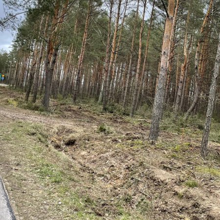 Tak powstaje sieć dróg rowerowych. "Zamykamy kolejny etap"