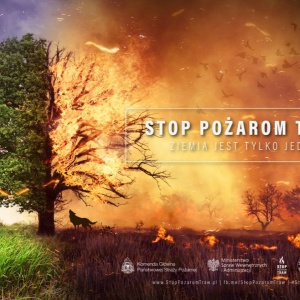 Na nic apele! Sezon na wypalanie traw na nieużytkach w pełni [ZDJĘCIA]