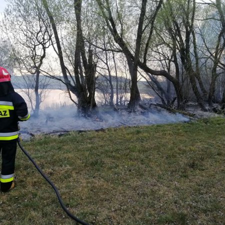 Niedziela pod znakiem pożarów na nieużytkach [ZDJĘCIA]