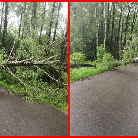 Pracowita doba strażaków z Troszyna [ZDJĘCIA]