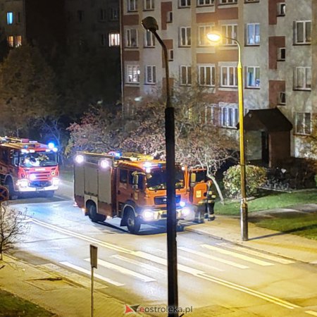 Strażacy mają co robić. Znacznie wzrosła liczba interwencji w Ostrołęce