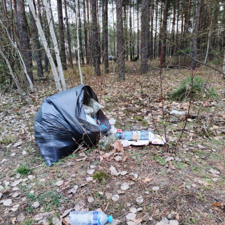 Leśni śmieciarze znów aktywni. Wyrzucają pełne worki!