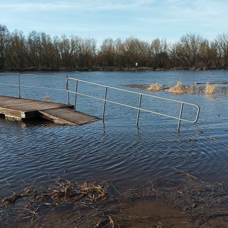 Rośnie poziom wody w Narwi. Ile brakuje do stanu ostrzegawczego i alarmowego? [ZDJĘCIA]