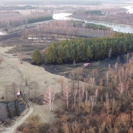Plaga pożarów traw na nieużytkach [WIDEO, ZDJĘCIA]