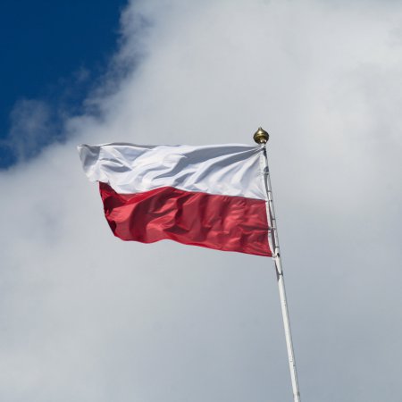 Ubecy wrzucili granat do ziemianki. Tak zginął "Olszyna" z Wykrotu