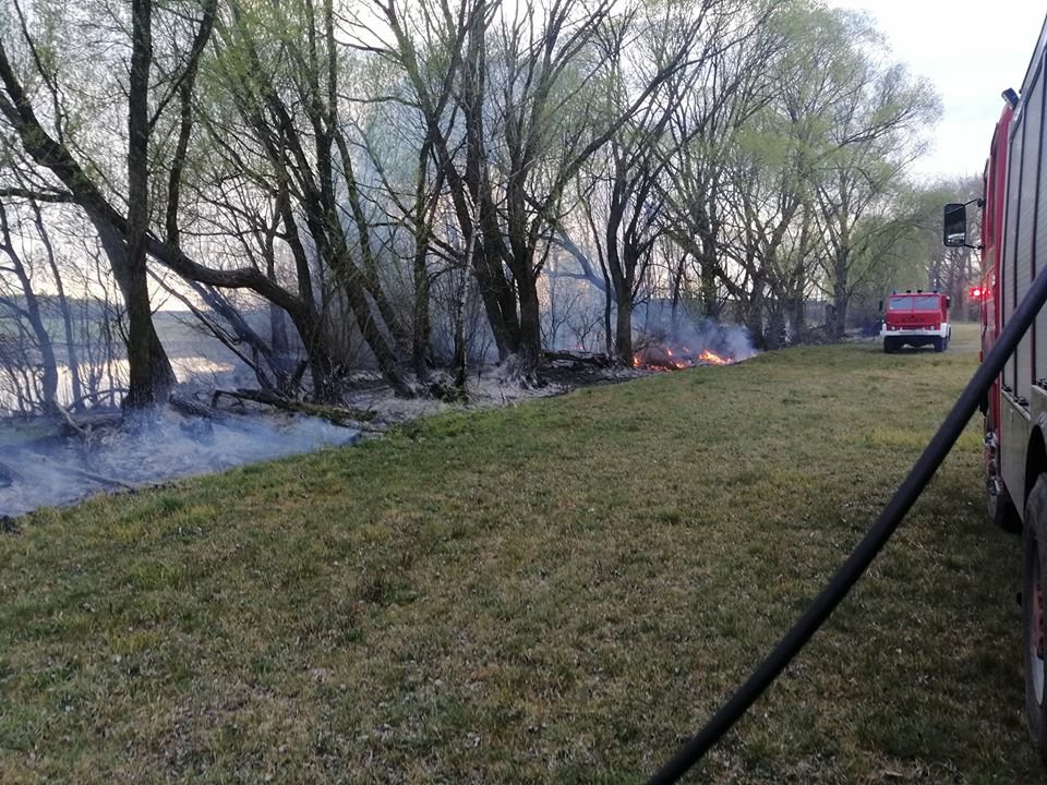 Pożar traw w miejscowości Czernie (fot. OSP Kunin)
